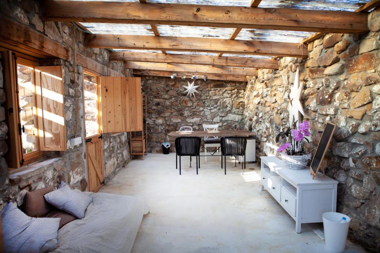 Wild House Auberge de jeunesse