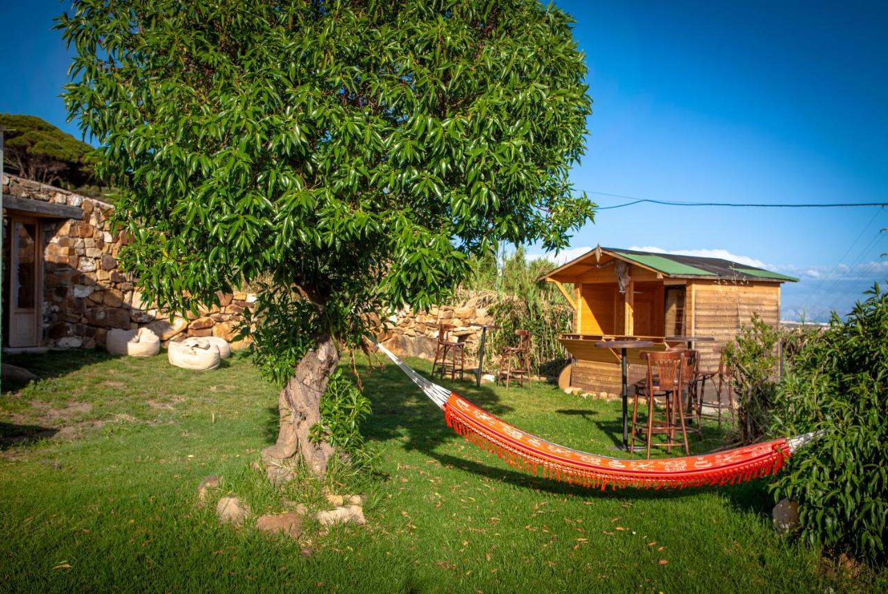Wild House Auberge de jeunesse Tarifa