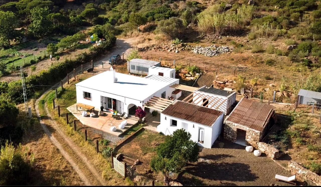 Wild House Auberge de jeunesse