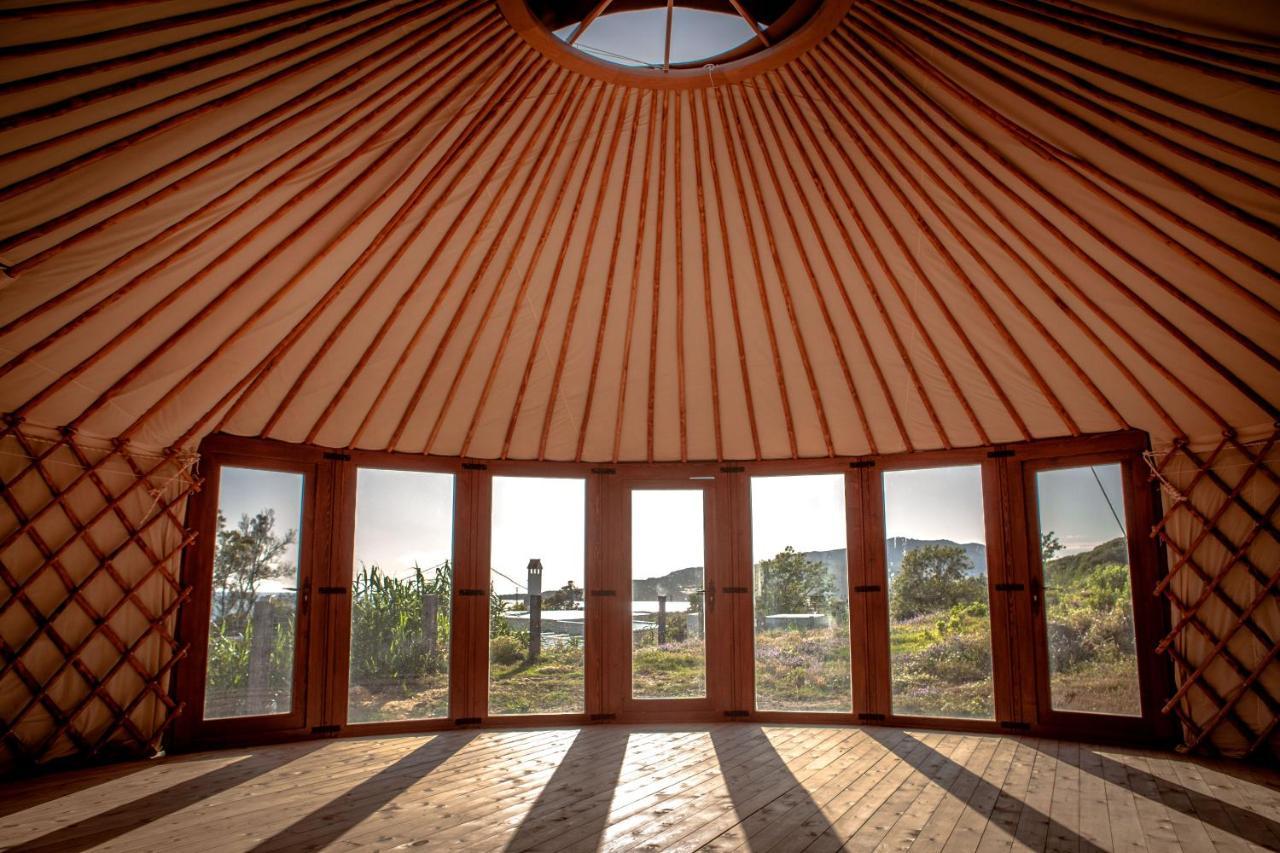 Wild House Auberge de jeunesse *