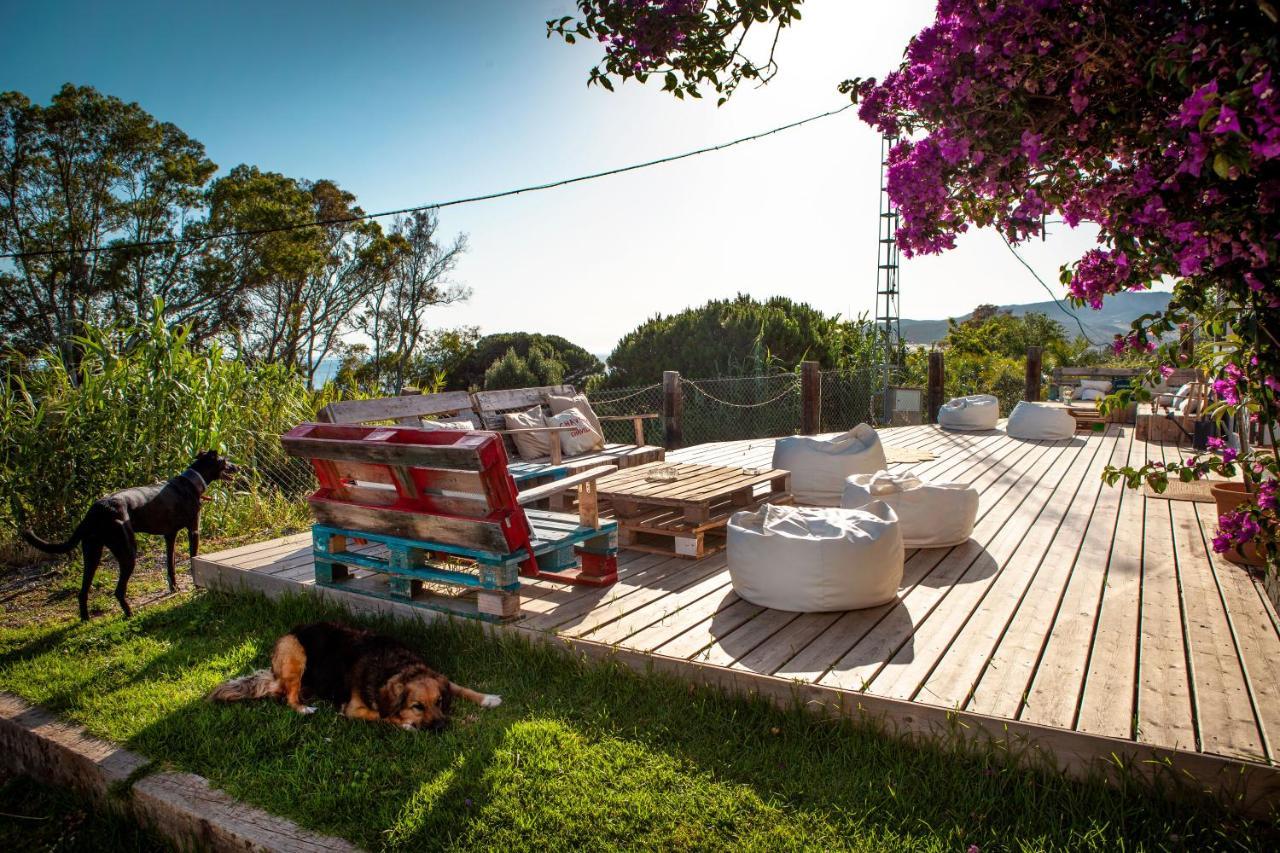 Auberge de jeunesse Wild House