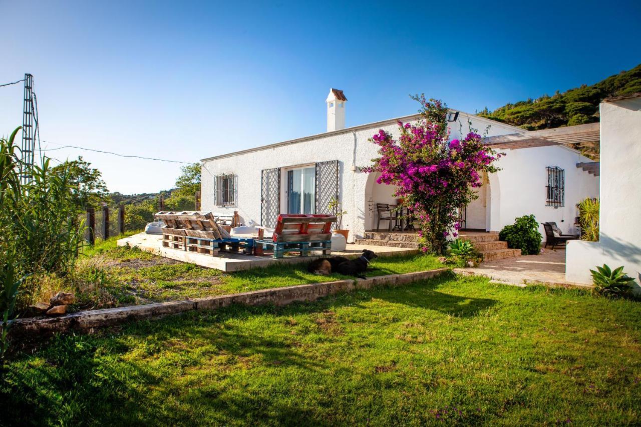 Wild House Auberge de jeunesse *