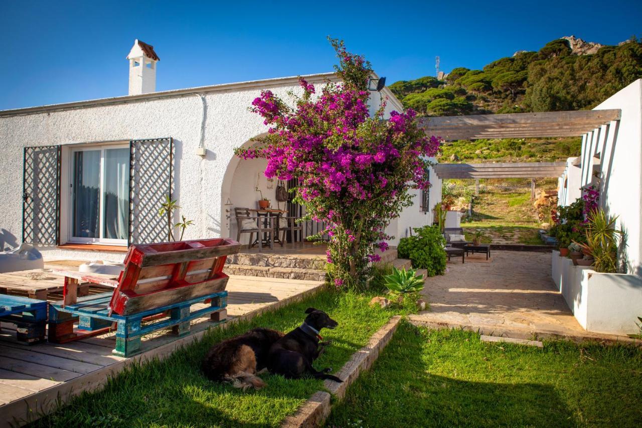 Wild House Auberge de jeunesse Tarifa